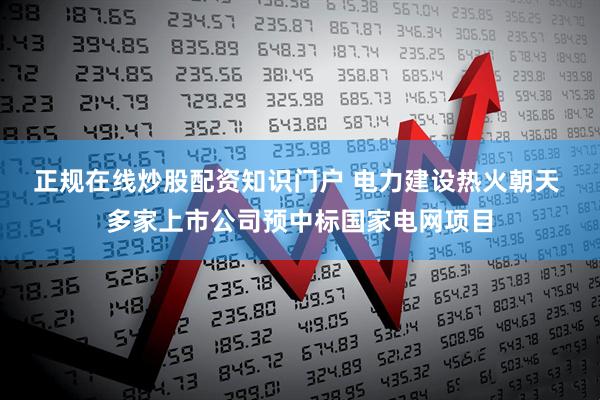 正规在线炒股配资知识门户 电力建设热火朝天 多家上市公司预中标国家电网项目